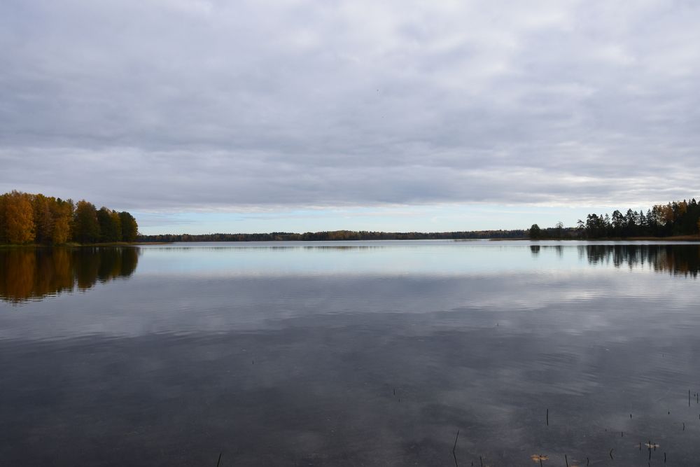 Photograph by Galina Leskova