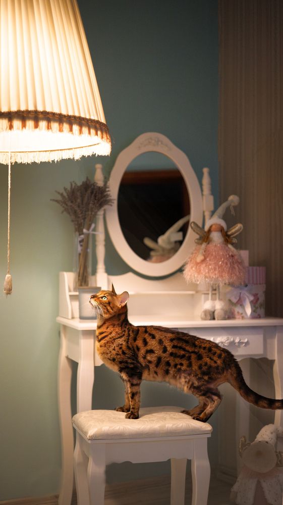 Photograph by Kucera Vince