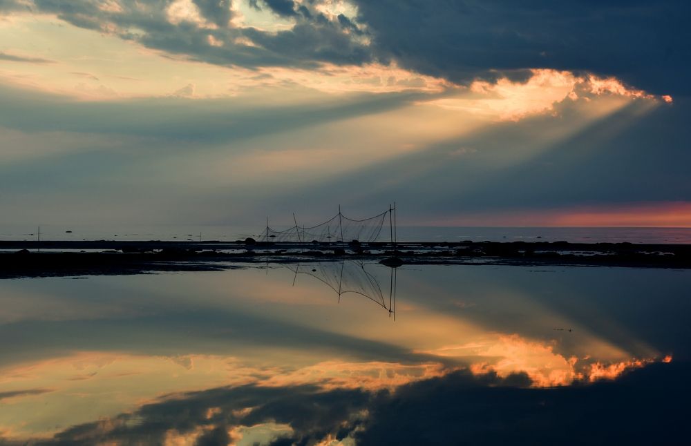 Photograph by tas_ava