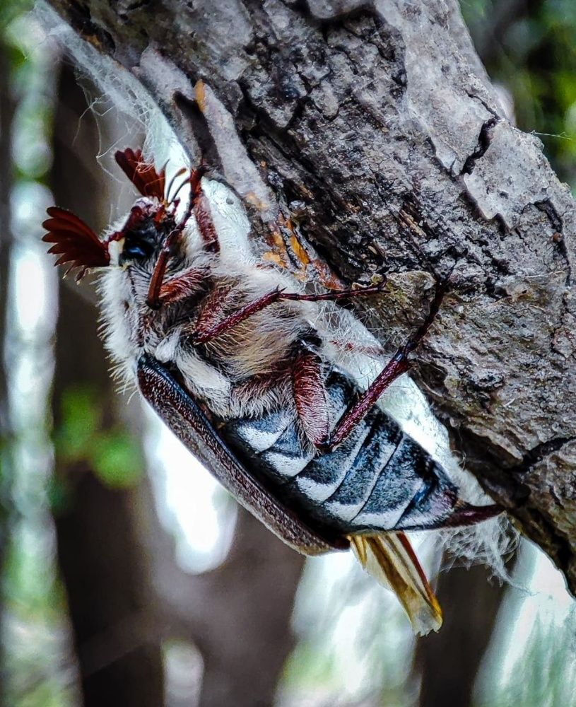 Photograph by Татьяна Радченко