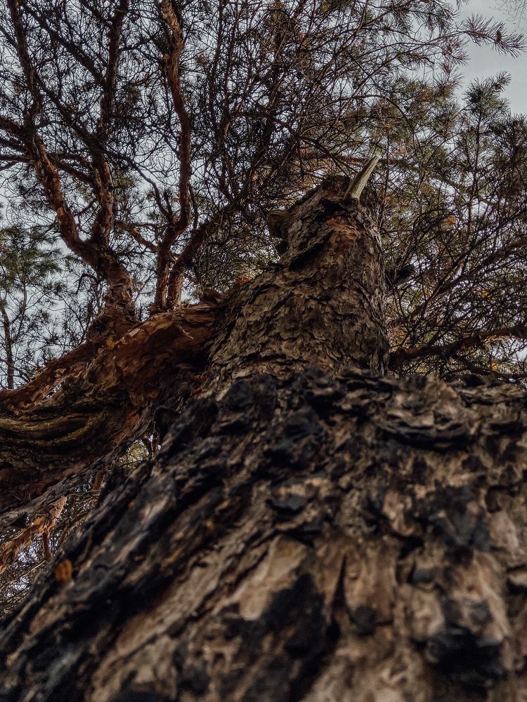 Photograph by Олена Уманцева