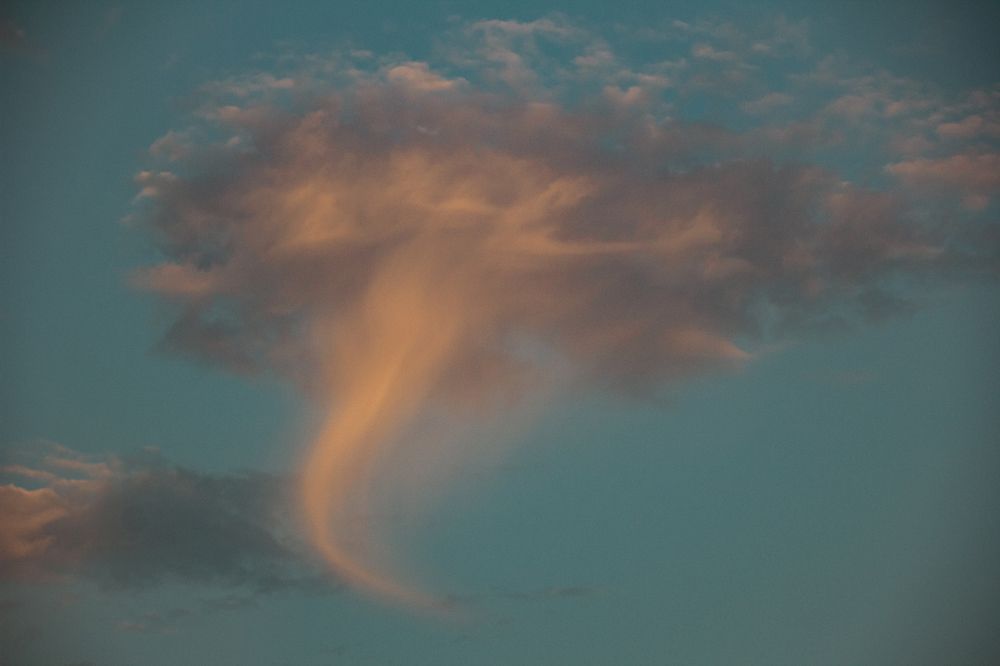 Фотография автора OXANA MARSOVA