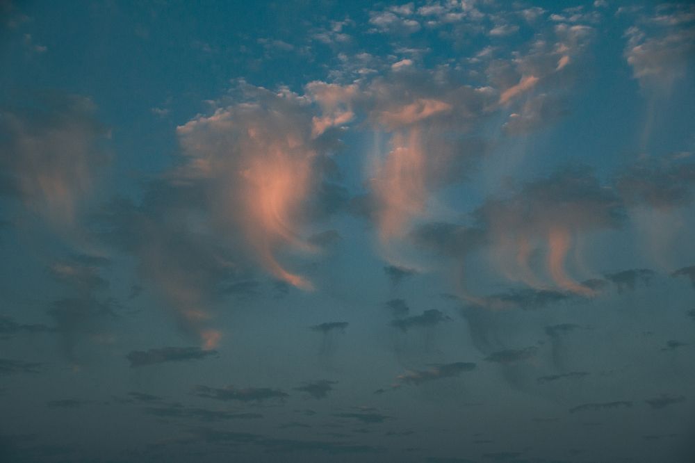 Фотография автора OXANA MARSOVA