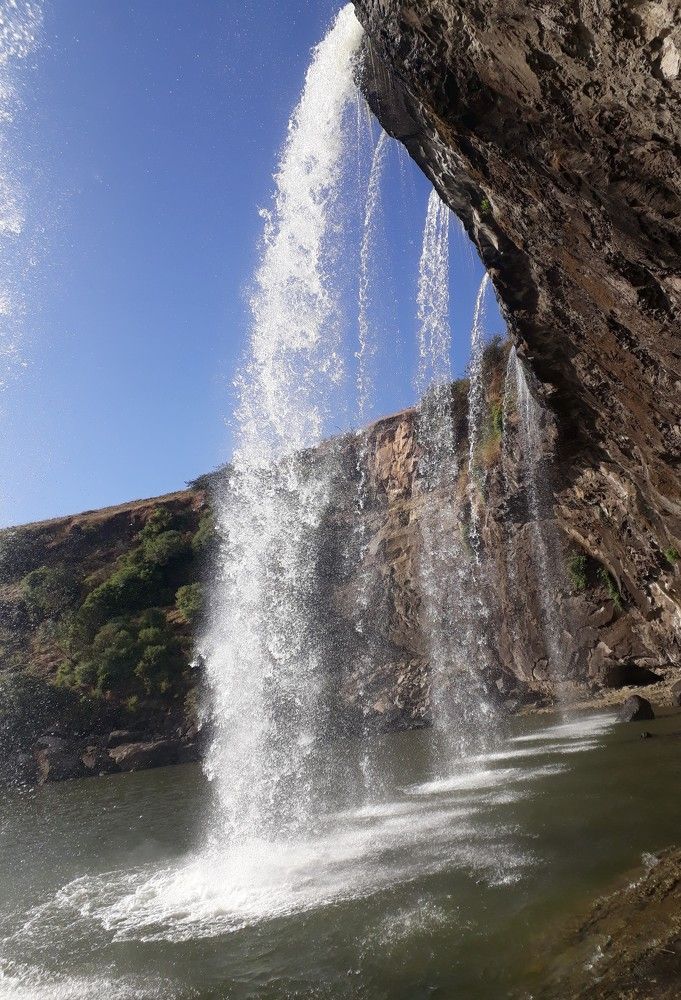 Photo #8375089