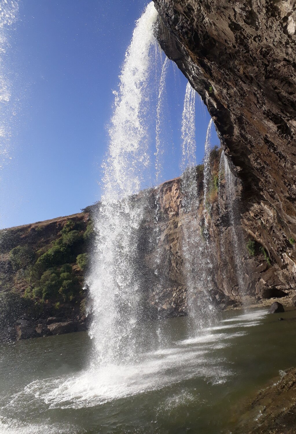 Photo #8375089