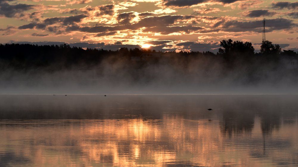 Золотой рассвет над озером / Golden sunrise over the lake