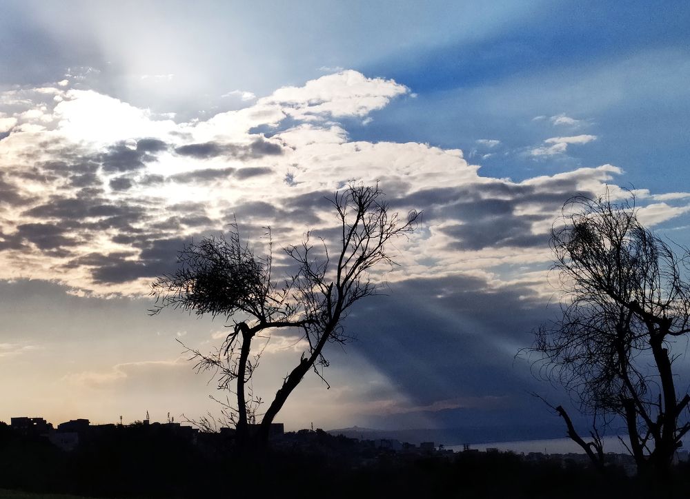 Photograph by Mohamed Kaouche