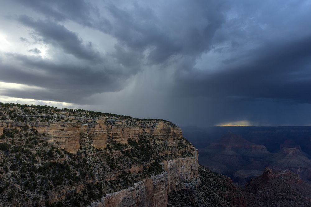 Photograph by Анна Кривицкая