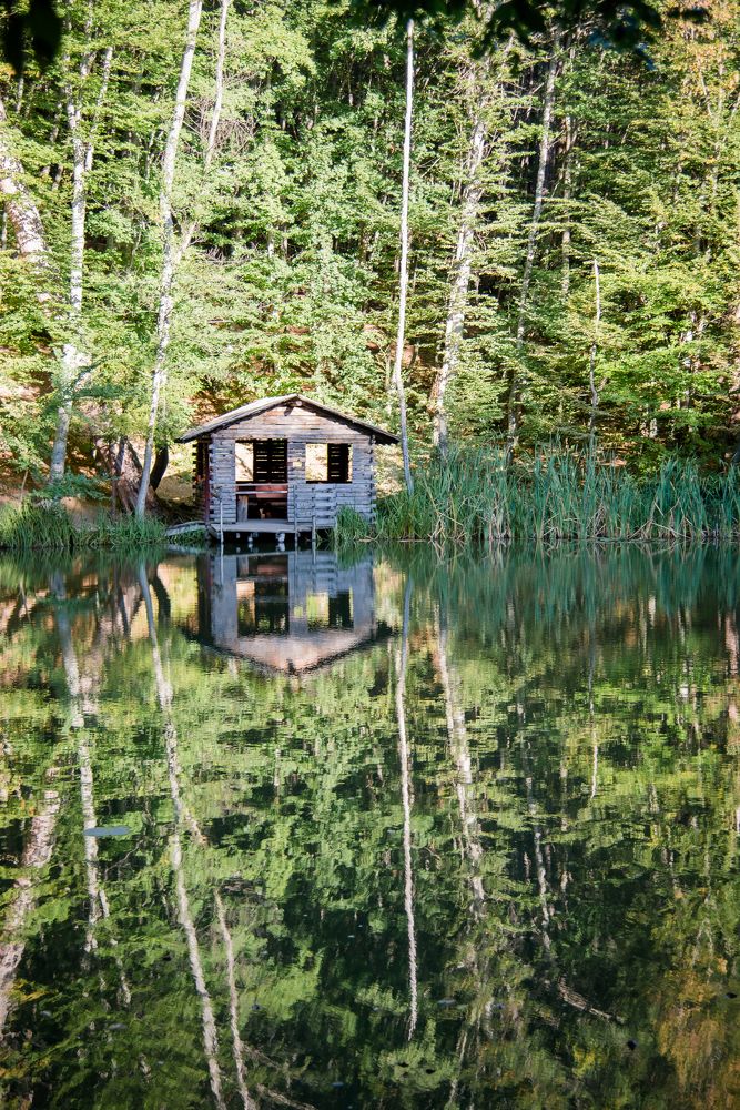 Photograph by Анастасия Махова