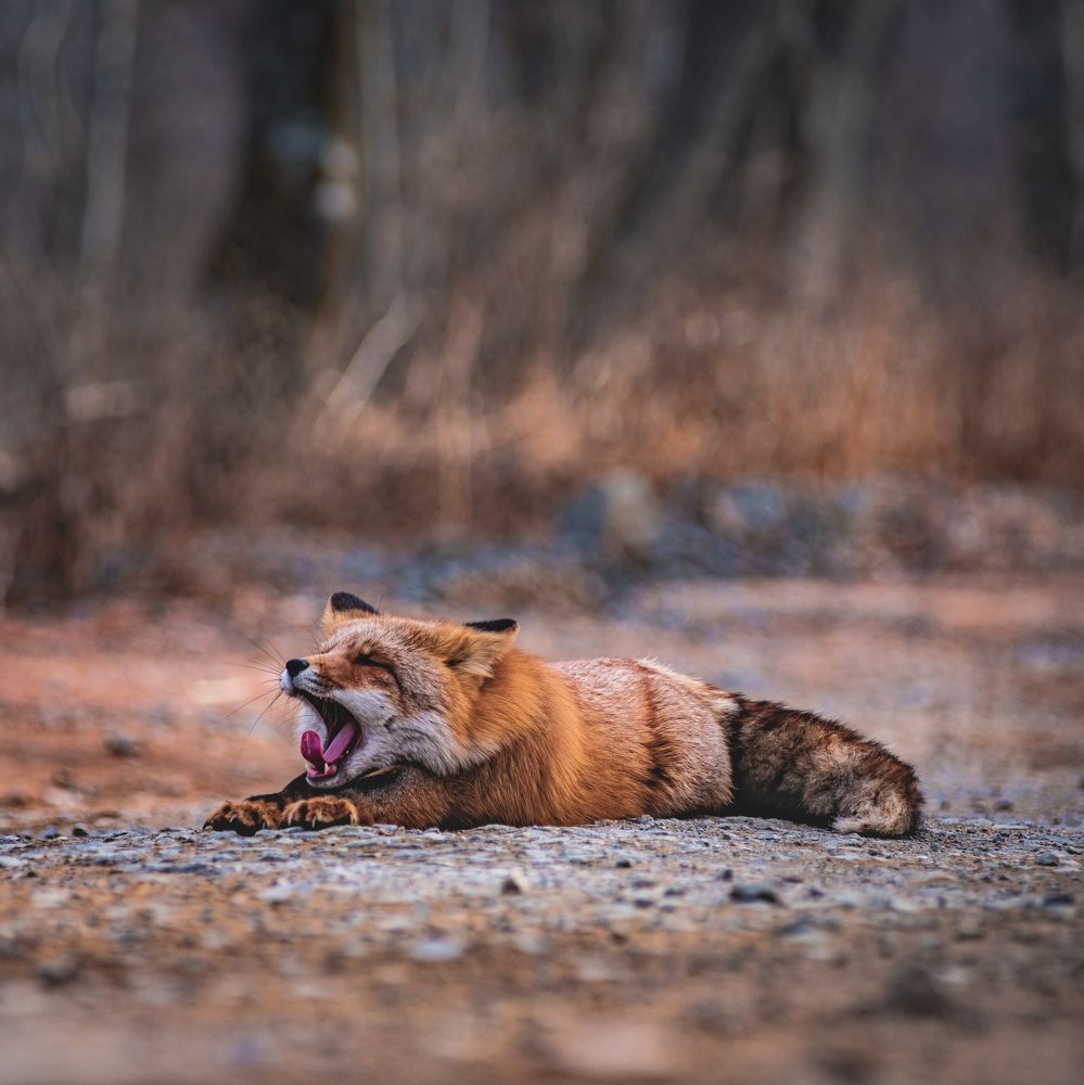 Stretching after breakfast