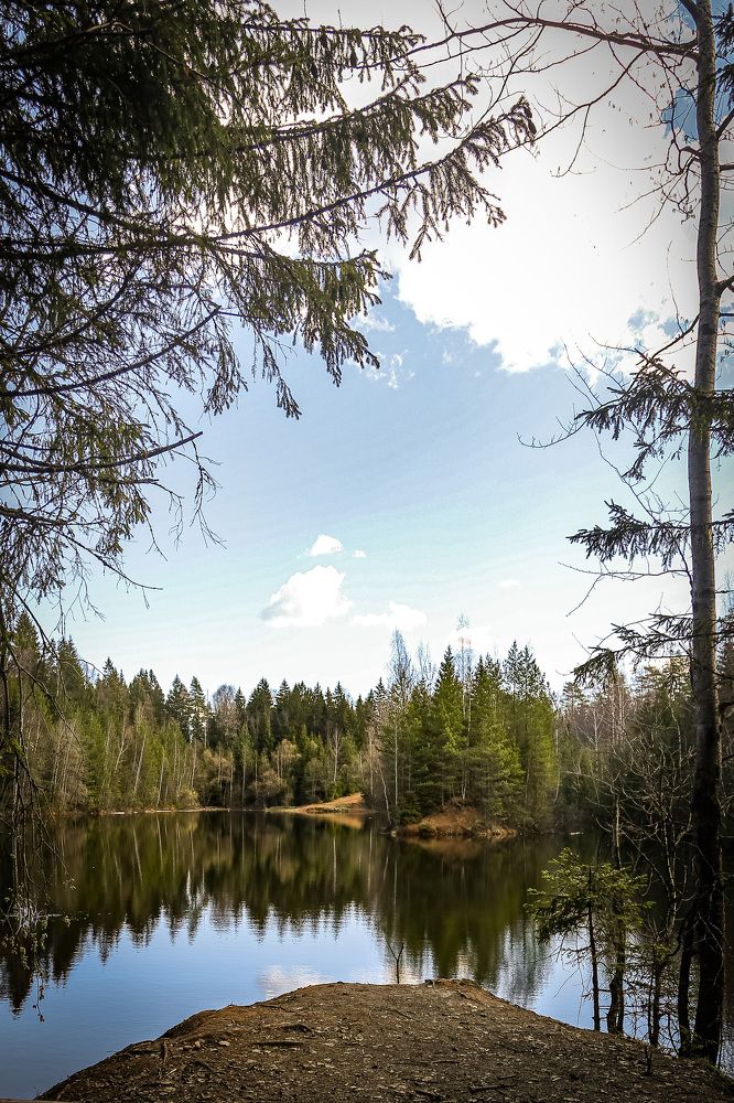 Photograph by Дарья Григорьева