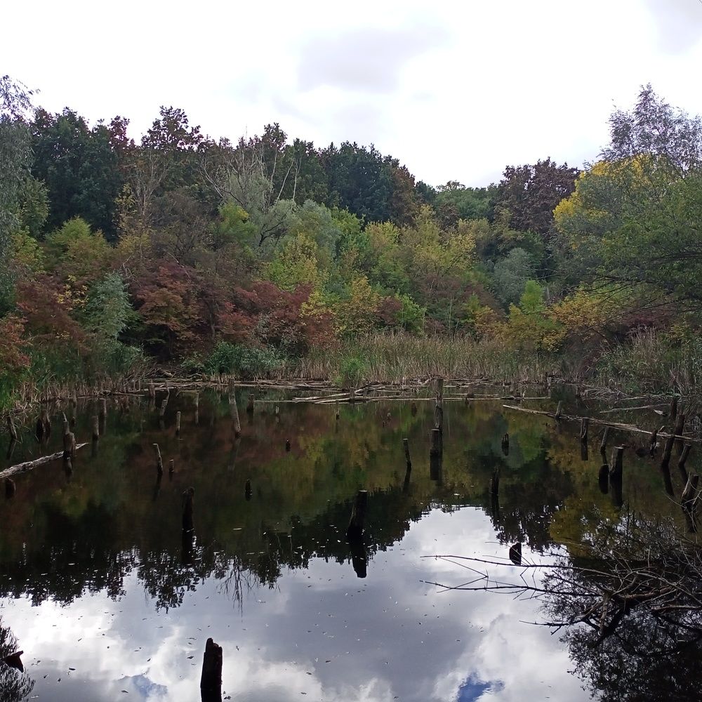 Photograph by Адамян Анна