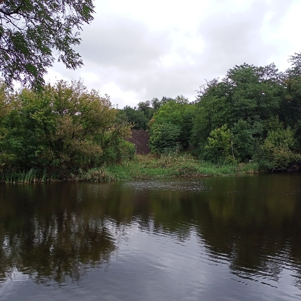 Photograph by Анна Лагун