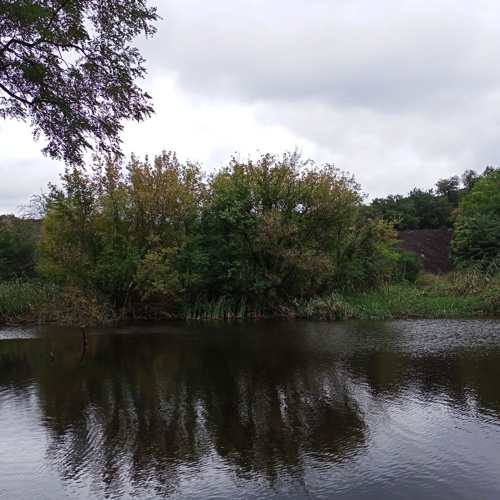 Photograph by Анна Лагун