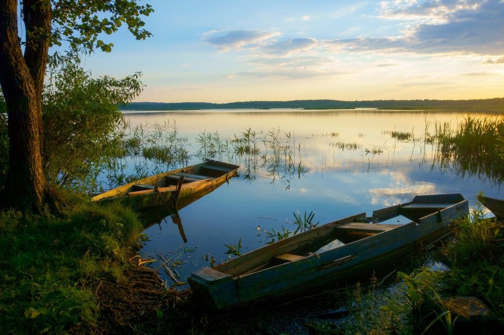 Фотография автора Андрей Врубель
