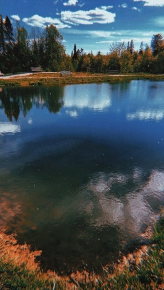 Фотография автора Дмитрий Петров