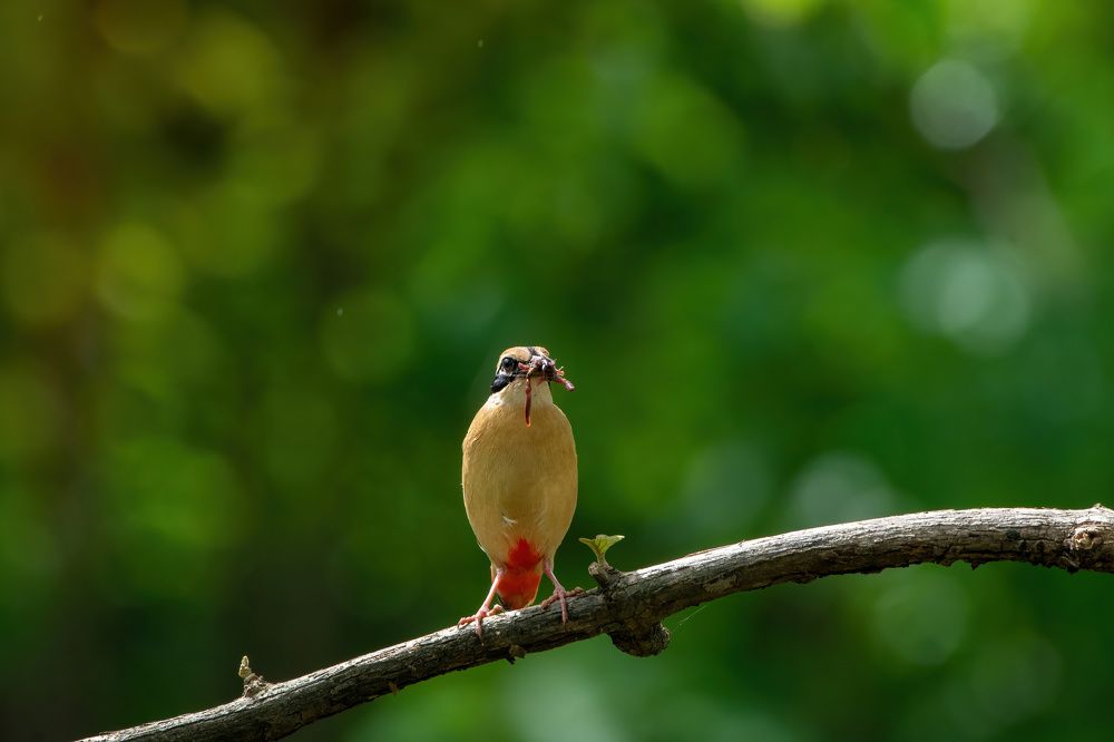 Photograph by Ashish Patil