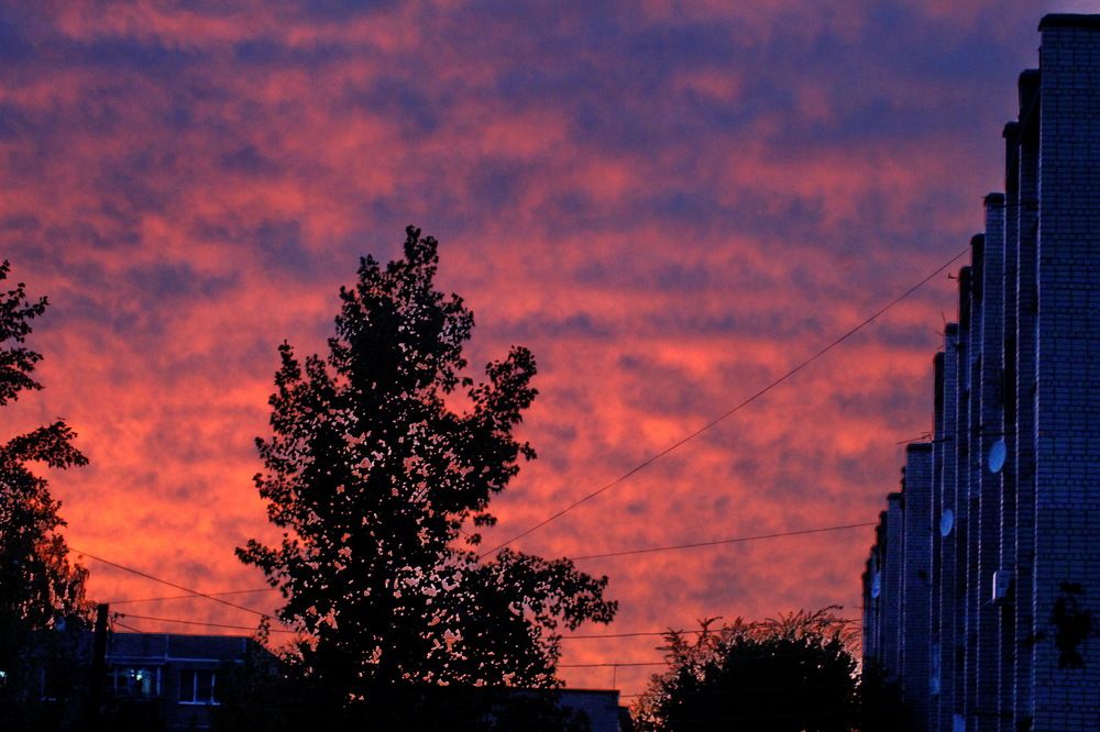 Photograph by Николай Николаевич Леухин