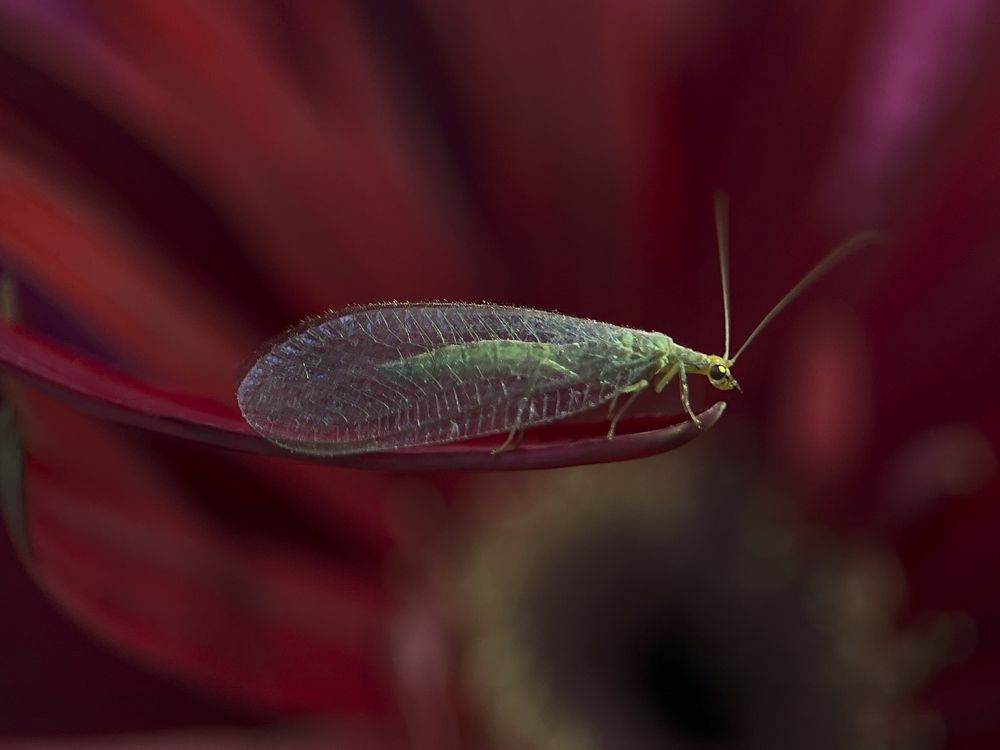 Photograph by Юлия Отставнова