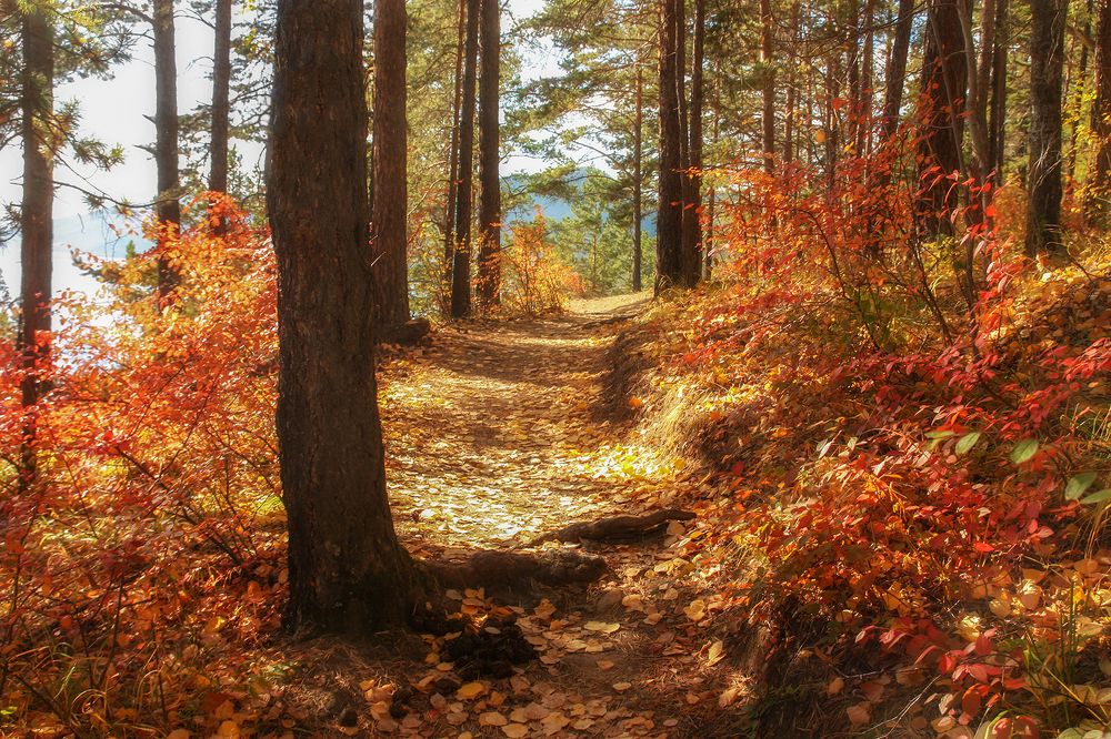 Photograph by Ольга Литвинцева