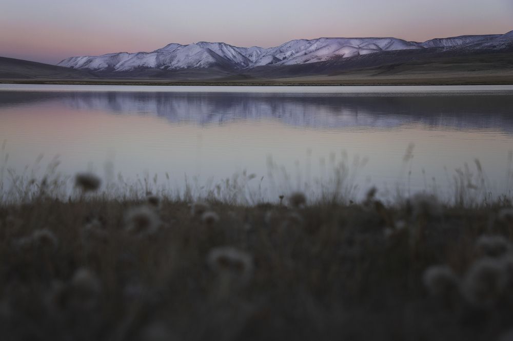 Фотография автора Ксения Зайцева