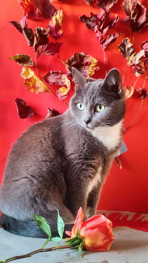 Photograph by Татьяна Гулакова