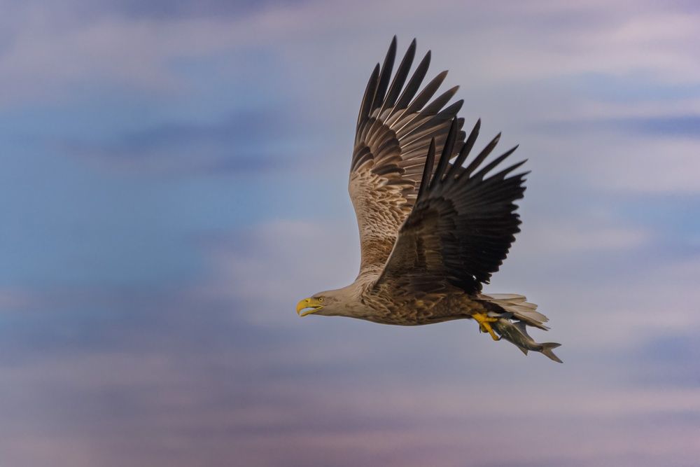 Photograph by Ольга Семисотова