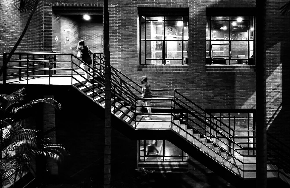 Фотография автора Fernando orozco fajuri