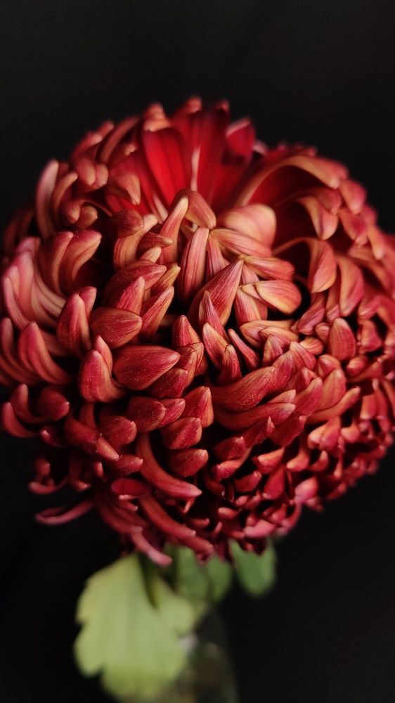 Photograph by Татьяна Гулакова