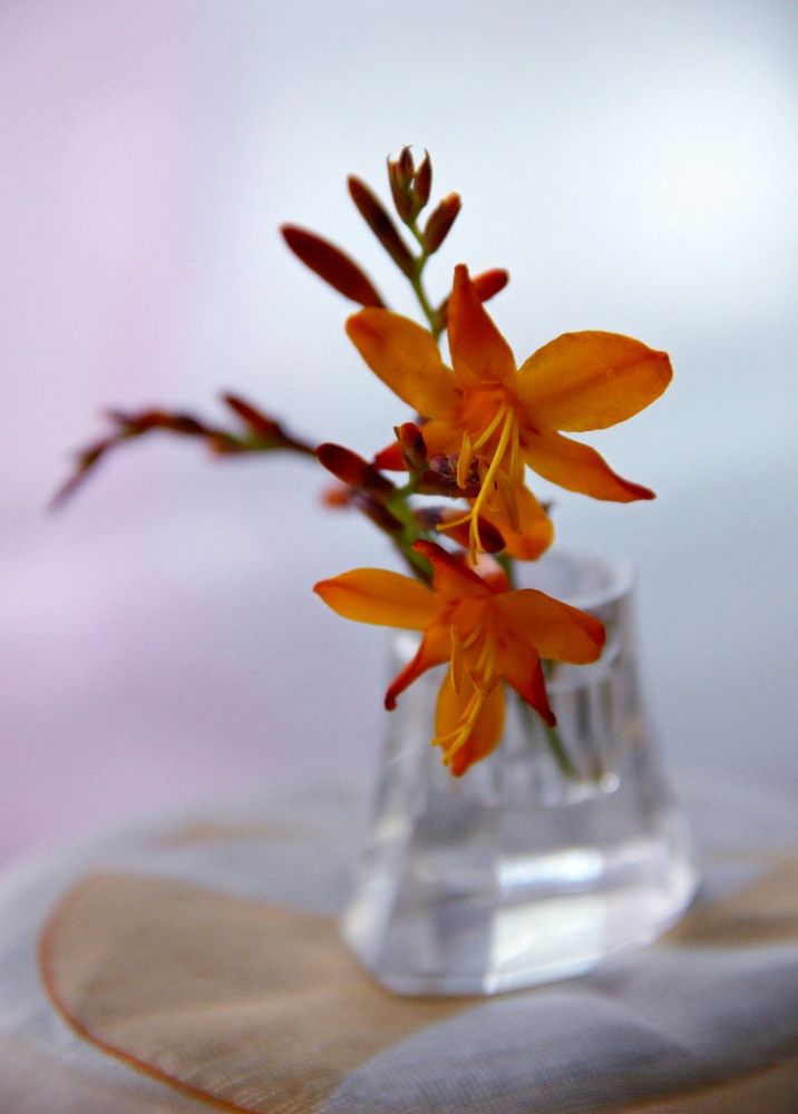 Мини-букетик.