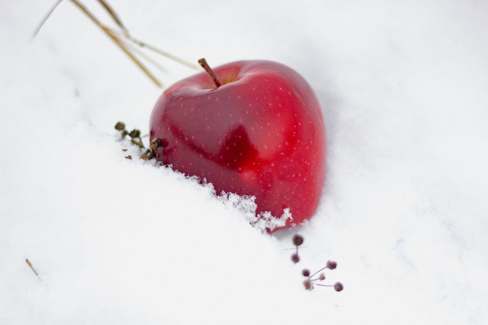 Photograph by Ирина Сороколетова