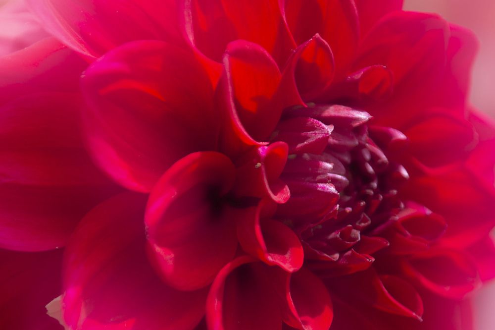 Фотография автора Laverde Yako