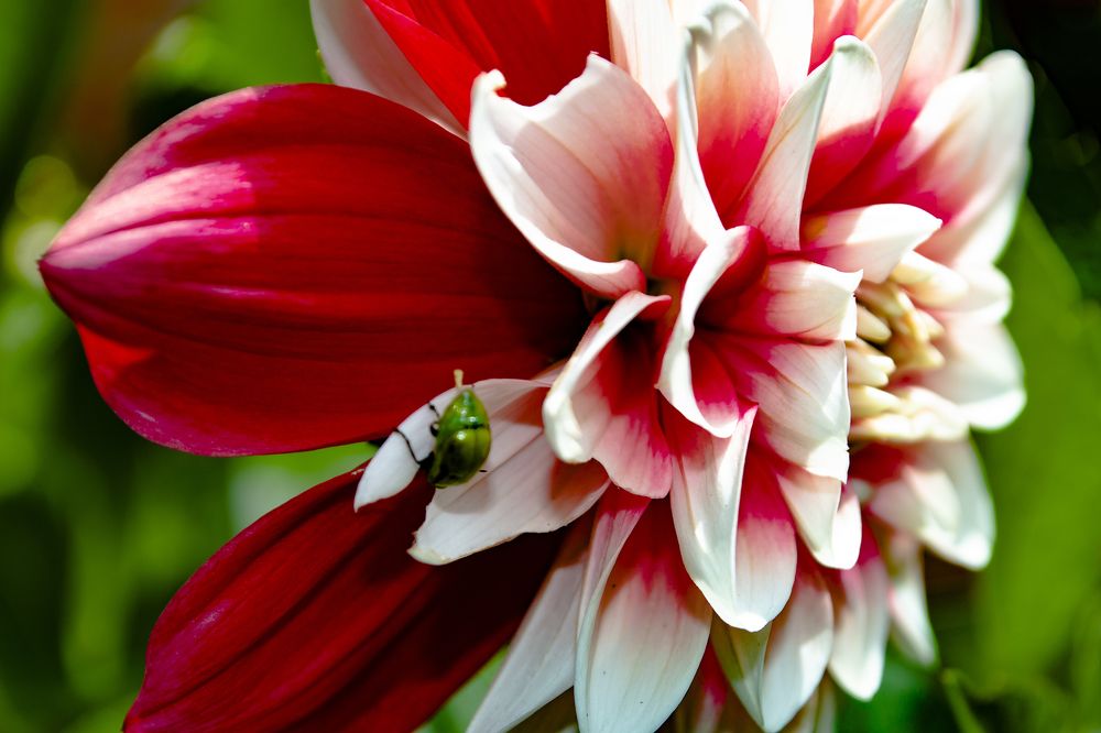 Фотография автора Laverde Yako