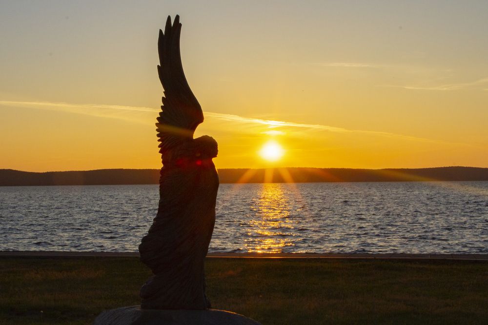 Фотография автора Ксения Зайцева