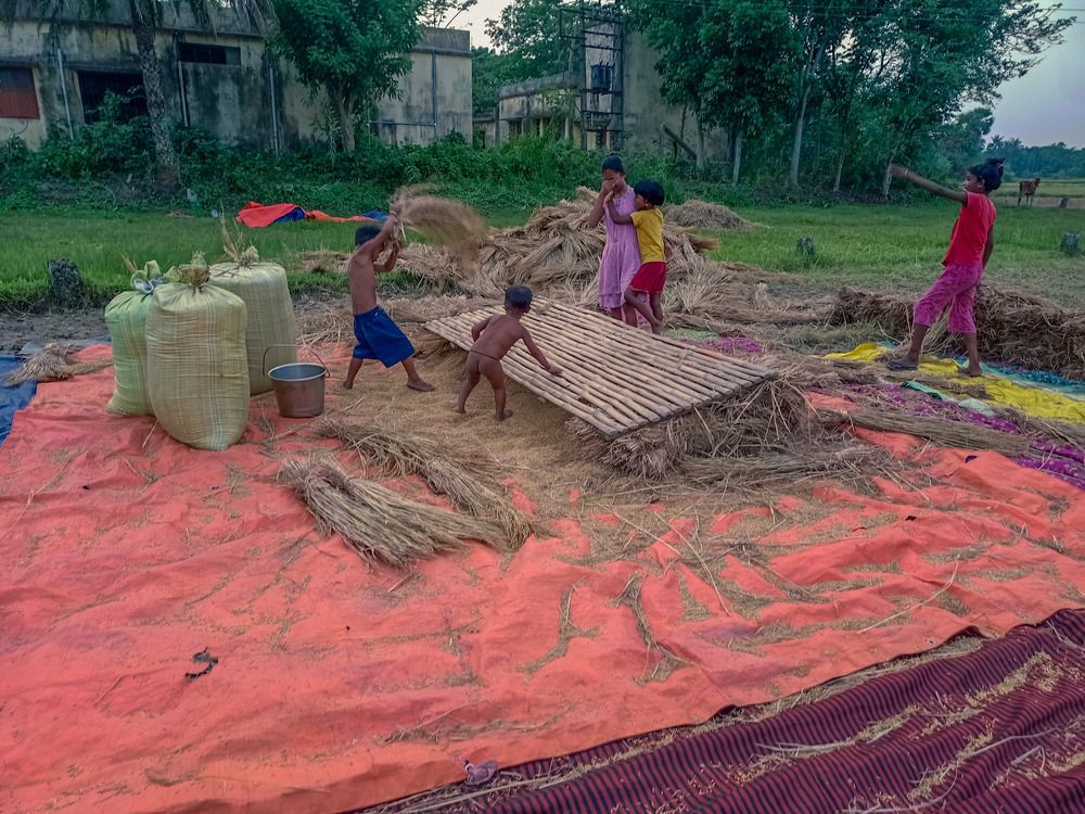 Photograph by Soumyadeep mondal