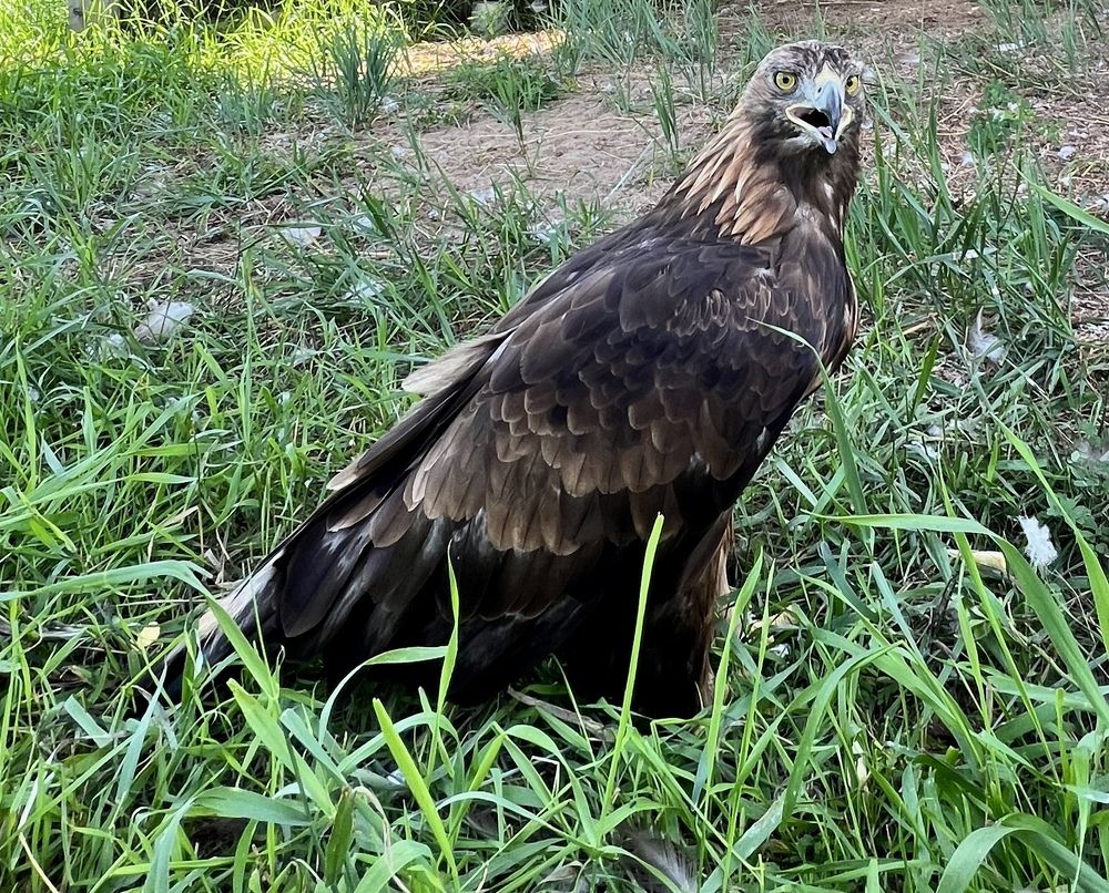 Photograph by Елена Мизина