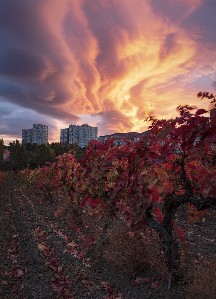 Фотография автора Сергей Шульга