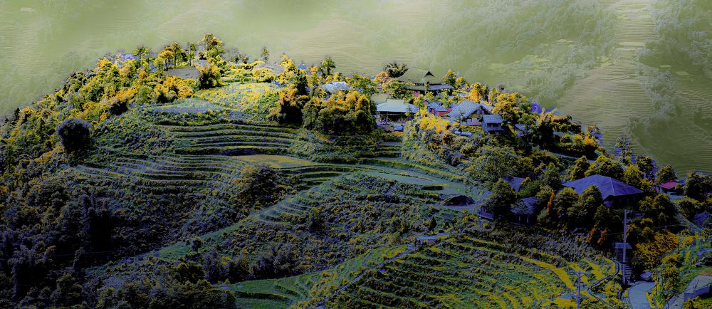 Photograph by PHUONG NGUYEN THANH