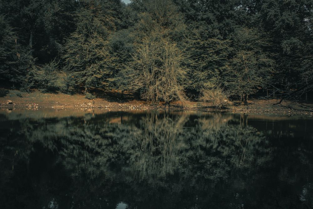 Photograph by Mahdi Bafande