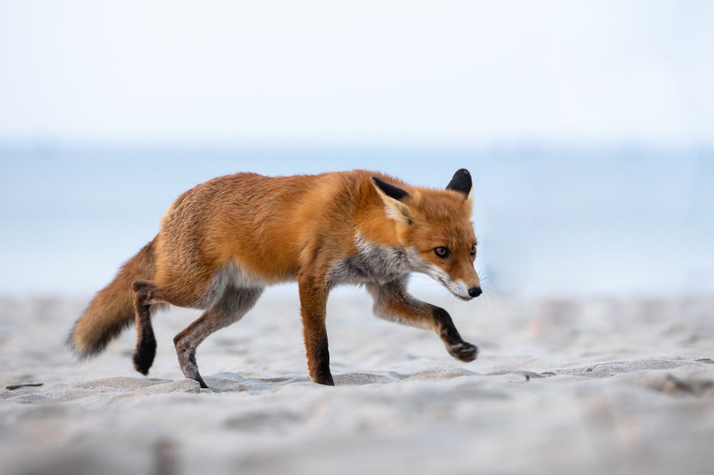 Photograph by Илья Юфа