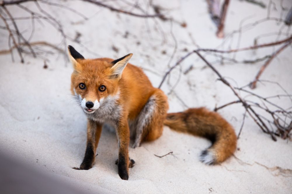 Photograph by Илья Юфа