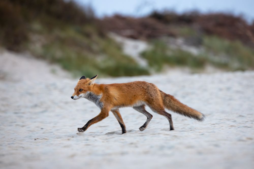 Photograph by Илья Юфа