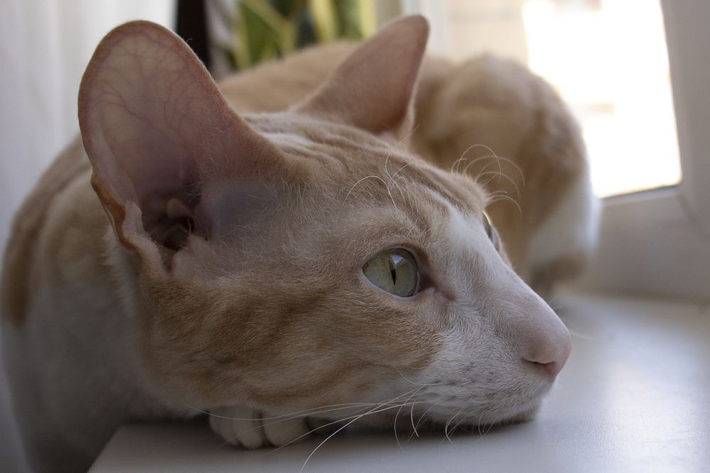 Photograph by Анастасия Слободская