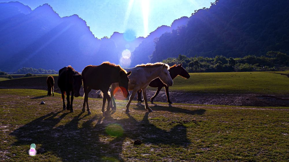 Photograph by PHUONG NGUYEN THANH