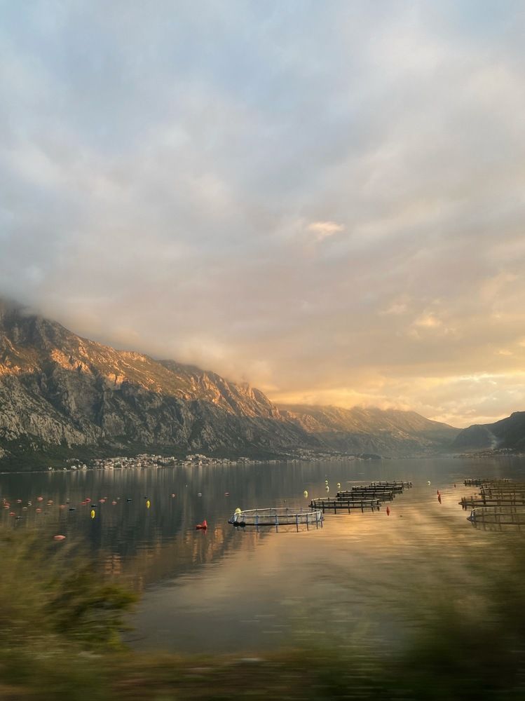 Photograph by Елена Хорошильцева