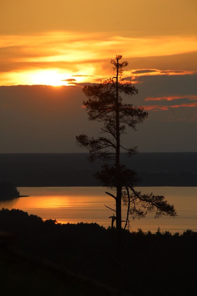 Фотография автора Ксения Зайцева