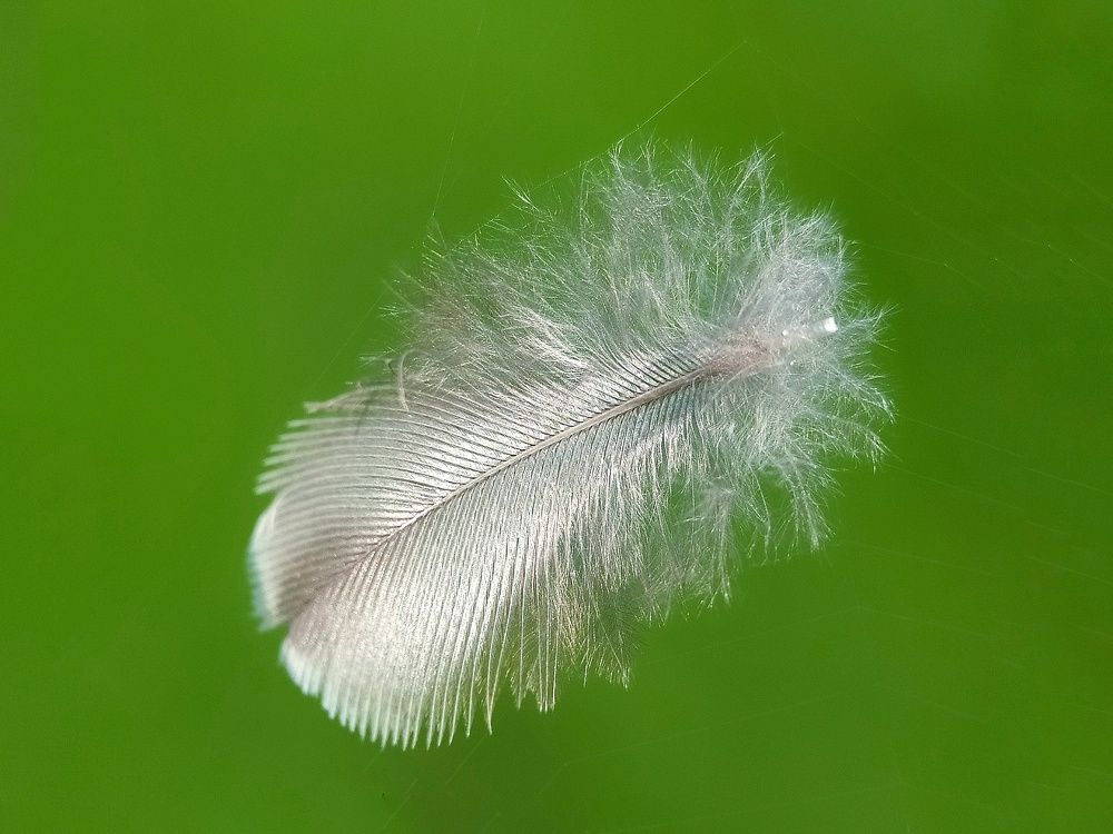 Photograph by Md Raihan