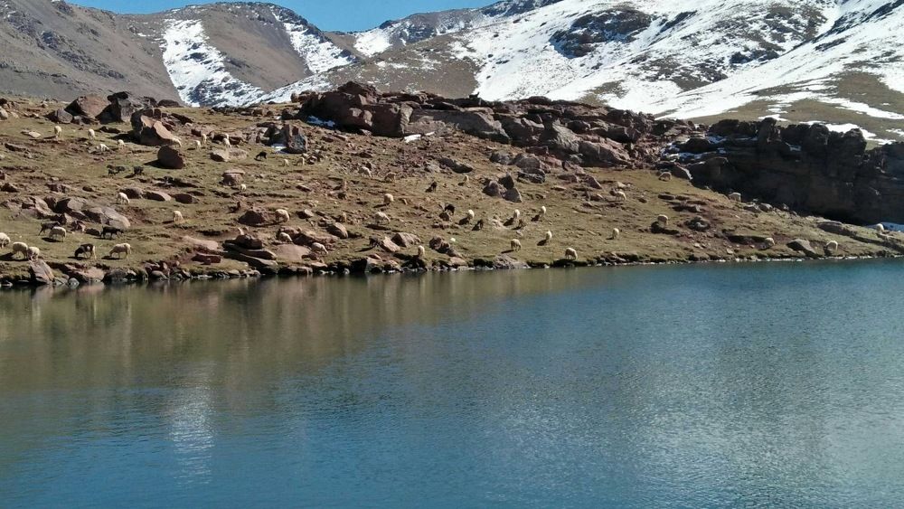 Photograph by Jellab