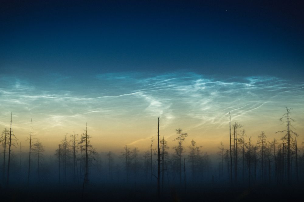 Photograph by Полина Ардашева