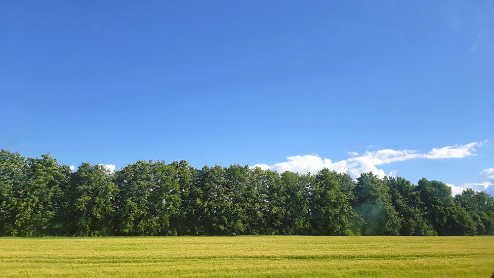 Photograph by Елизавета Иванова